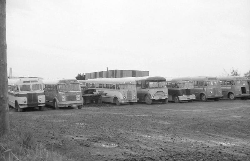 Shears Coachlines Yard 1968