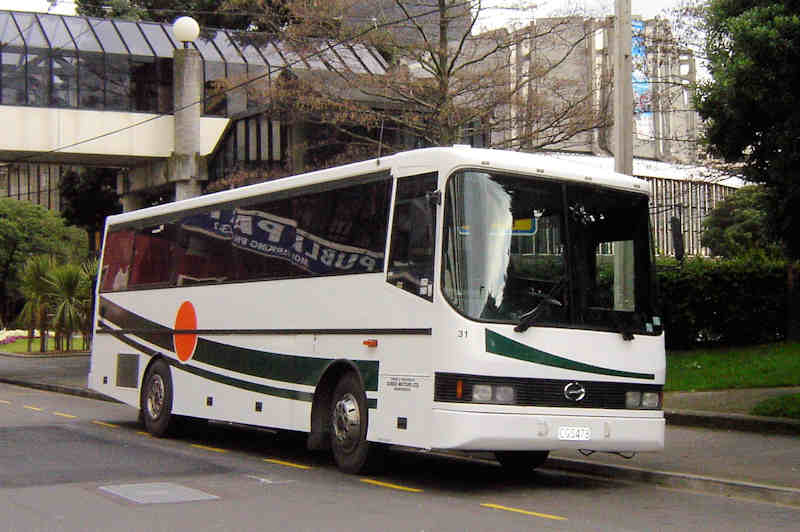 Gubbs 31 Hino RG197